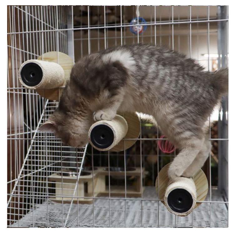 猫 遊べる爪研ぎポール 3本入り ポール 階段 滑り止め付 爪とぎ 猫用