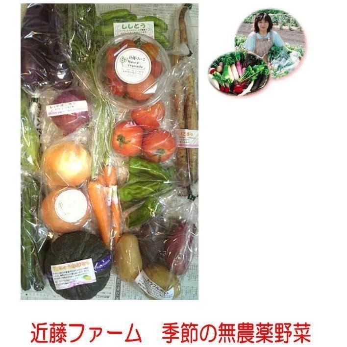 1485円 人気海外一番 偶数月 12~15品 無農薬野菜セット 近藤ファーム