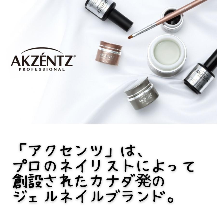 滝川（TAKIGAWA） アクセンツ AKZENTZ ジェルアートパウダー 20g
