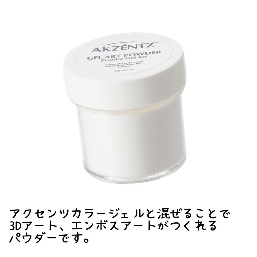 滝川（TAKIGAWA） アクセンツ AKZENTZ ジェルアートパウダー 20g