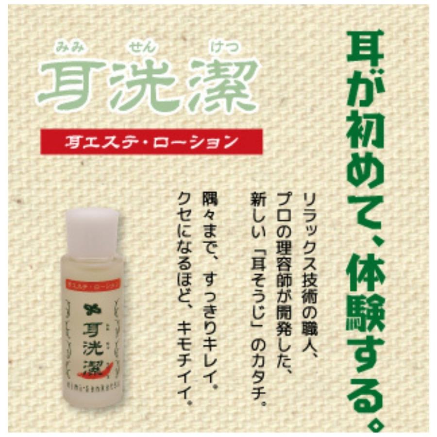 耳そうじ ローション ワイマック 耳洗潔 20mL さわやかな柑橘系の香り