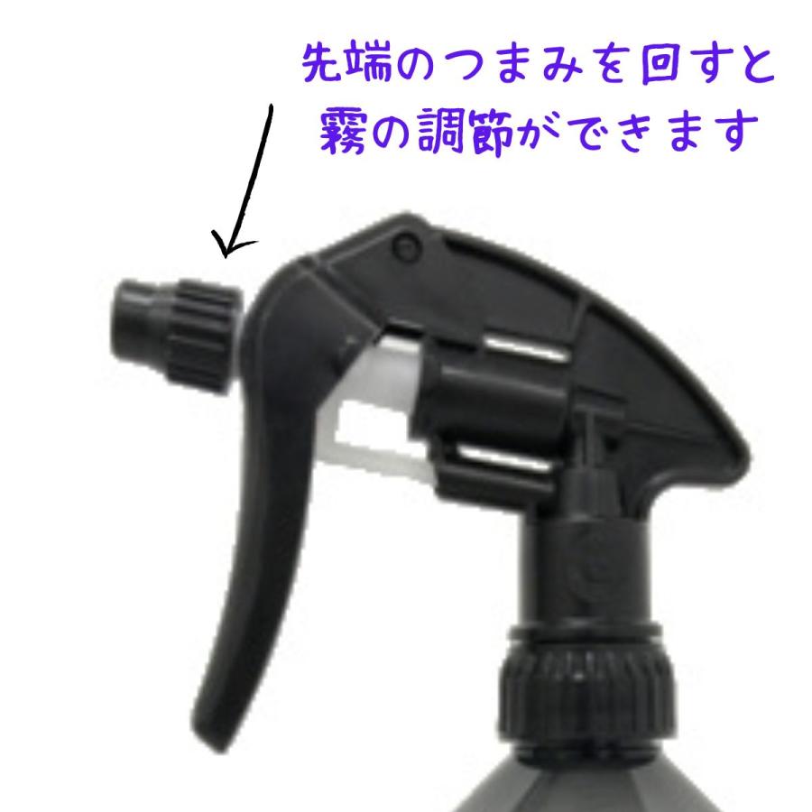 逆さOK エバーメイト ビューティー クリアブラックスプレーヤー 300cc