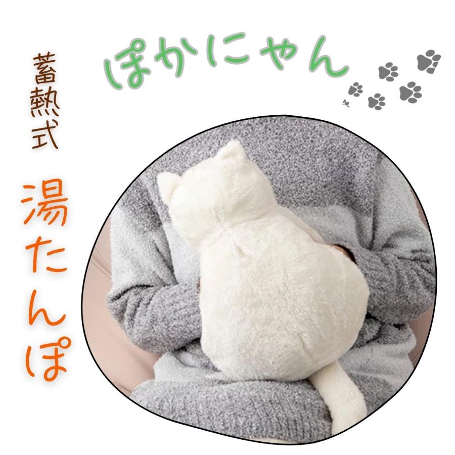 GLOBAL JAPAN（グローバル・ジャパン） 蓄熱式 湯たんぽ ぽかにゃん 1