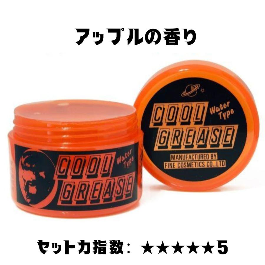 ファインコスメティックス 阪本高生堂 クールグリースR 210g アップル