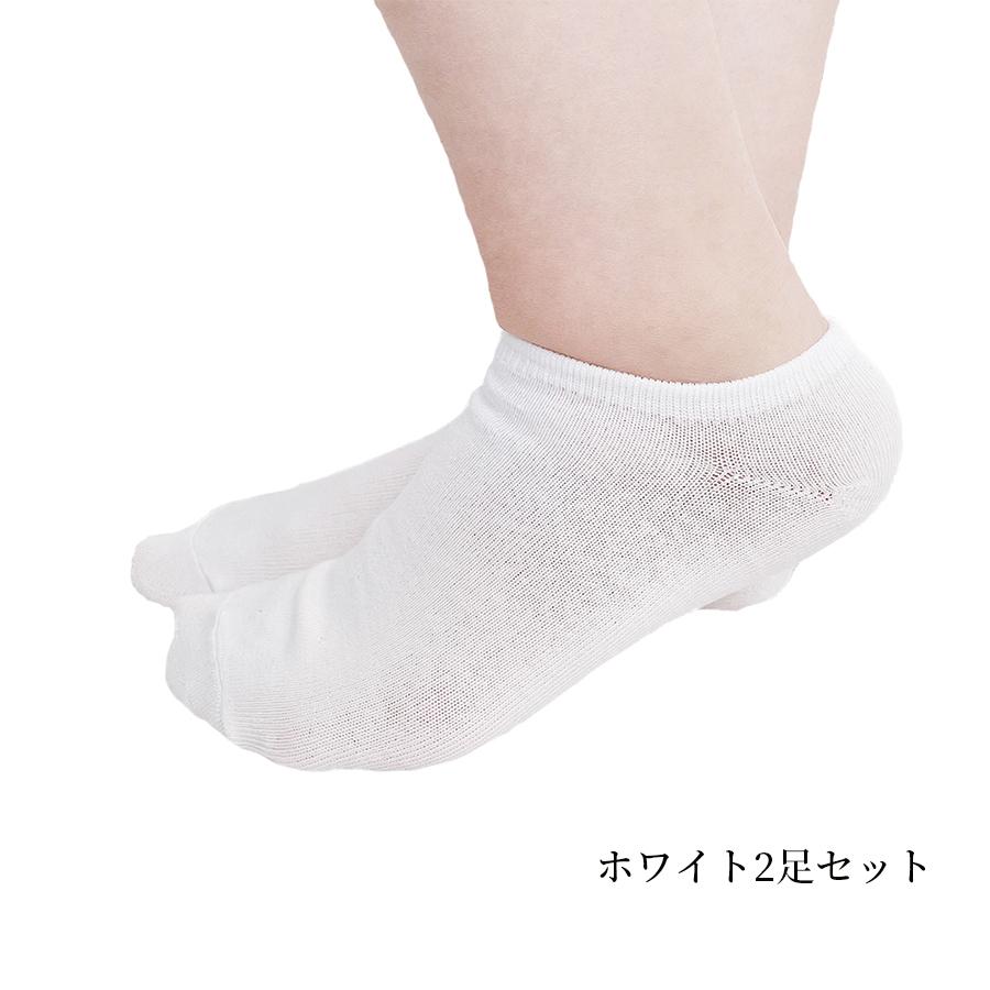 アピール 外交官 盗賊 靴下 白 安い Bandaperformance Net