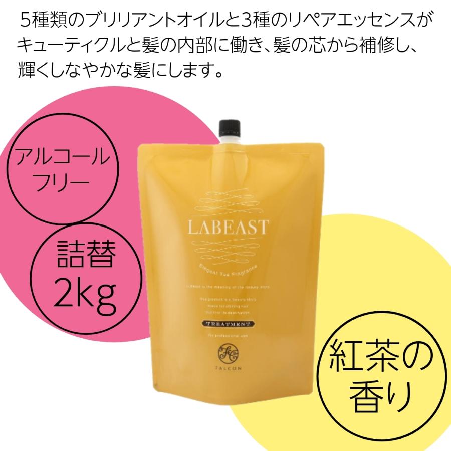 LABEAST 昭和化学 ラビースト ベースリフレッシュ トリートメント