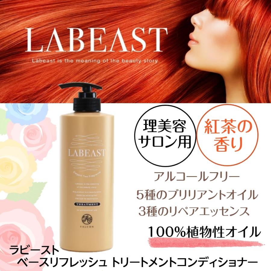 レイラスシャンプー2 トリートメント2 無香料 サロン用 レイラス シャンプー 4000ml + トリートメント 計2個 業務用