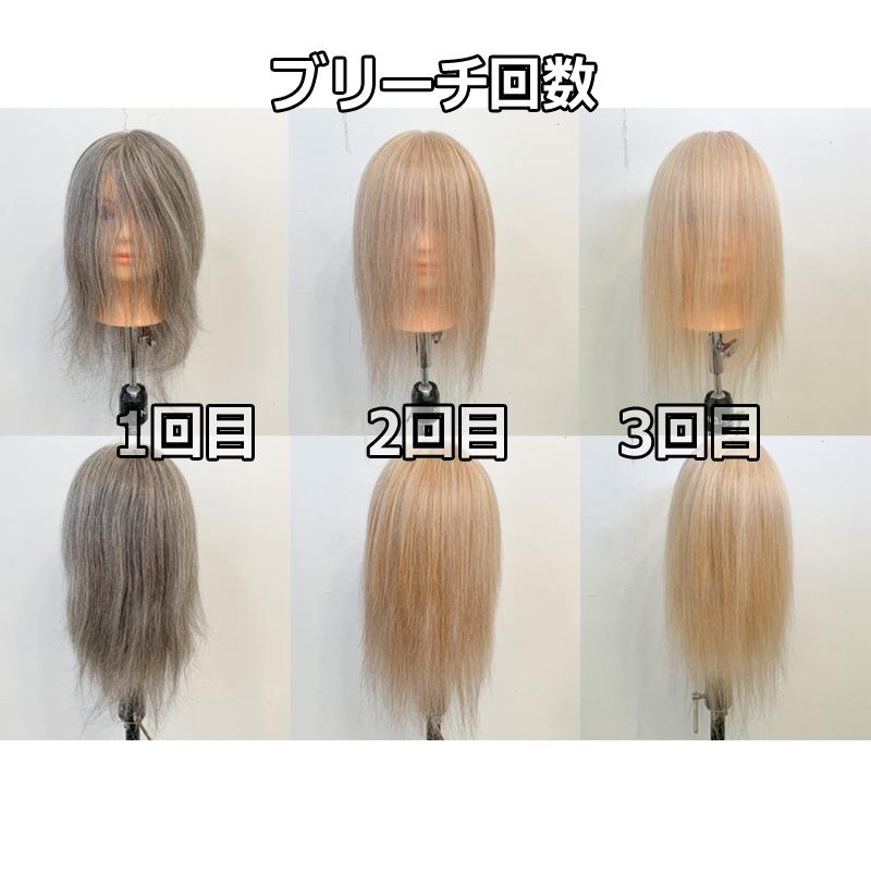 グレイヘアのカラー＆カット練習用 マネキン N.B.A.A. カットウィッグ グレイ60 人毛100％ 白髪60％ トレーニング用 美容師