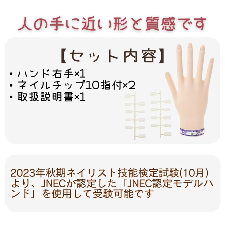 JNEC認定 滝川 STモデルハンド 右手 ネイルチップ付き 第1期JNEC認定モデルハンド 01-22-01 ネイリスト技能検定試験 タキガワネイル