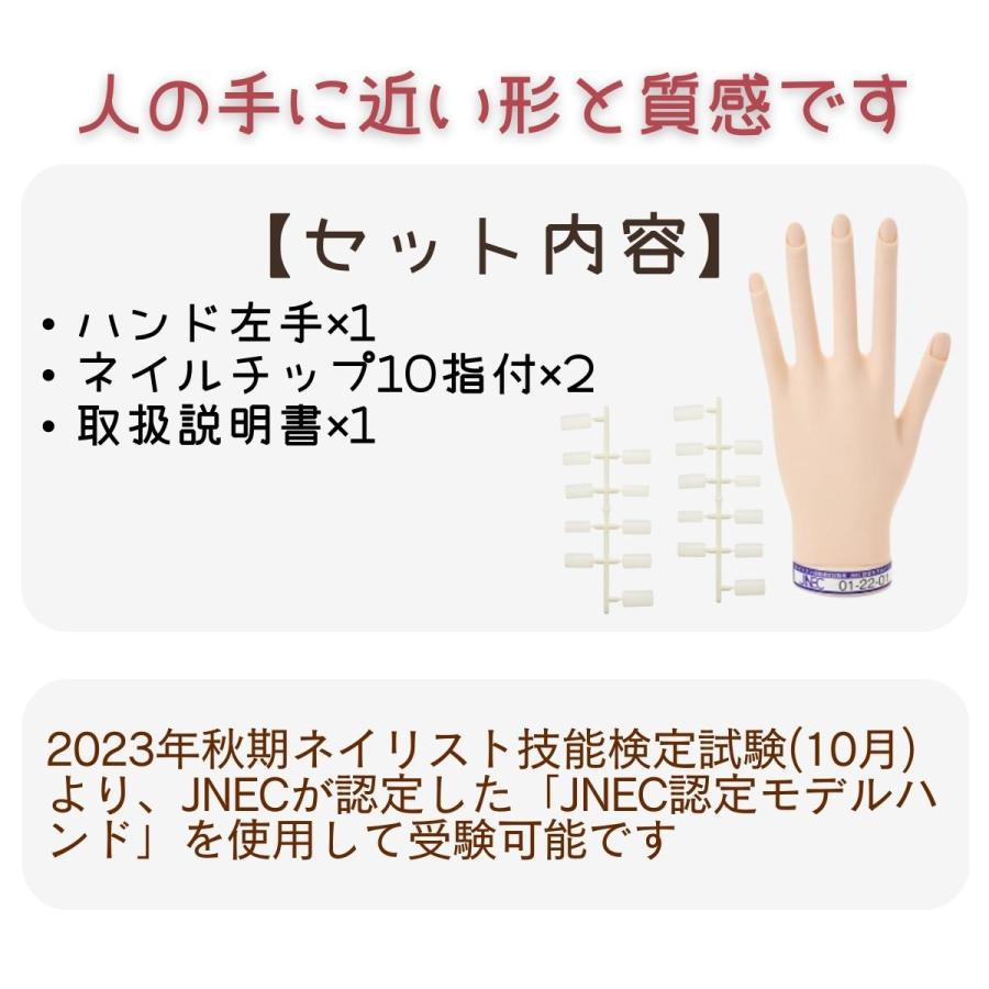 滝川 JNEC認定ハンド STモデルハンド 左手 ネイルチップ付き 第1 滝川 JNEC認定ハンド STモデルハンド 左手 ネイルチップ付き 第1