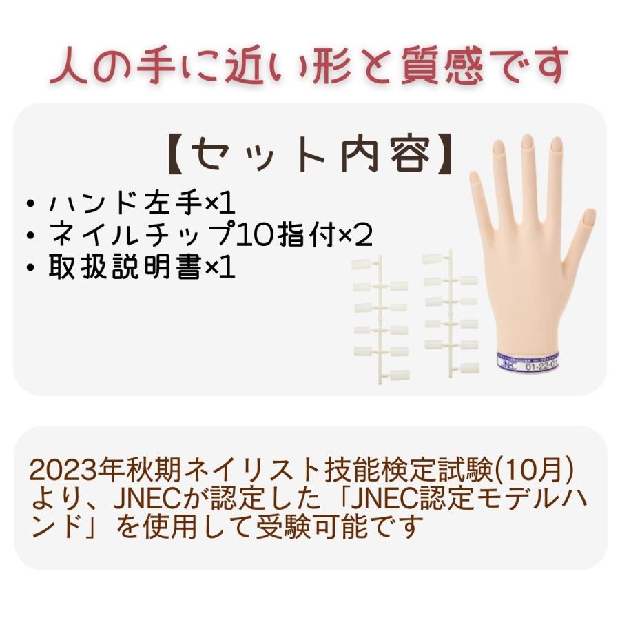 JNEC認定 滝川 STモデルハンド 左手 ネイルチップ付き 第1期JNEC認定