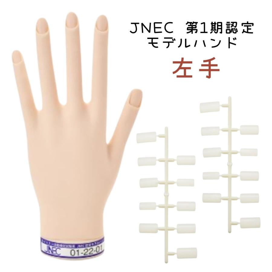 JNEC認定 滝川 STモデルハンド 左手 ネイルチップ付き 第1期JNEC認定