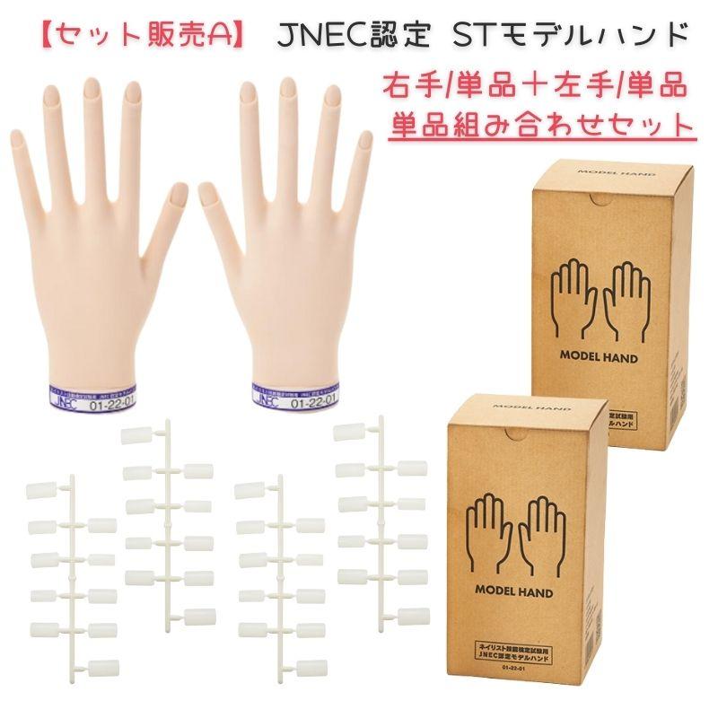 滝川 【単品セット販売A】 JNEC認定 STモデルハンド 右手 左手 滝川 【単品セット販売A】 JNEC認定 STモデルハンド 右手 左手