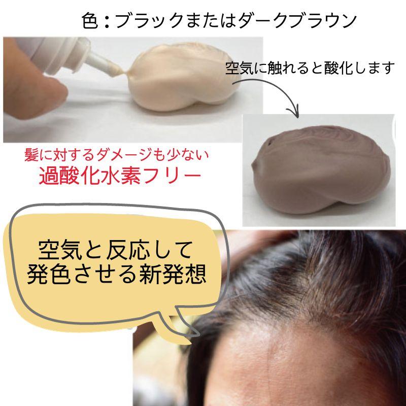 ムース状 白髪カバー エアーホイップカラー ブラック 黒 70g