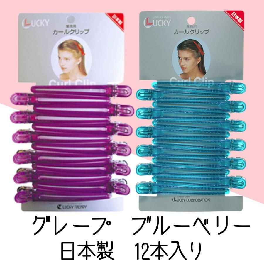 美容専門 美容師 国家試験ヘアコーム ヘアクリップ ヘアピン セット 美容専門 美容師 国家試験ヘアコーム ヘアクリップ ヘアピン セット