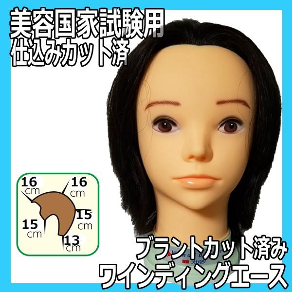 海外正規品 美容国家試験ワインディング用モデルウィッグ 人毛100 ワインディングエース オールブラントカット 仕込みカット済みマネキン 最高の Www Thedailyspud Com