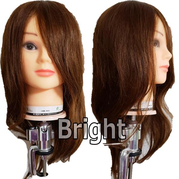 ロングウィッグ 人毛100 茶髪 Yj 22lb ロングウィッグ 編み込み アップスタイル パーティーヘアーのヘアアレンジ練習に K 067 ブライト Yahoo 店 通販 Yahoo ショッピング