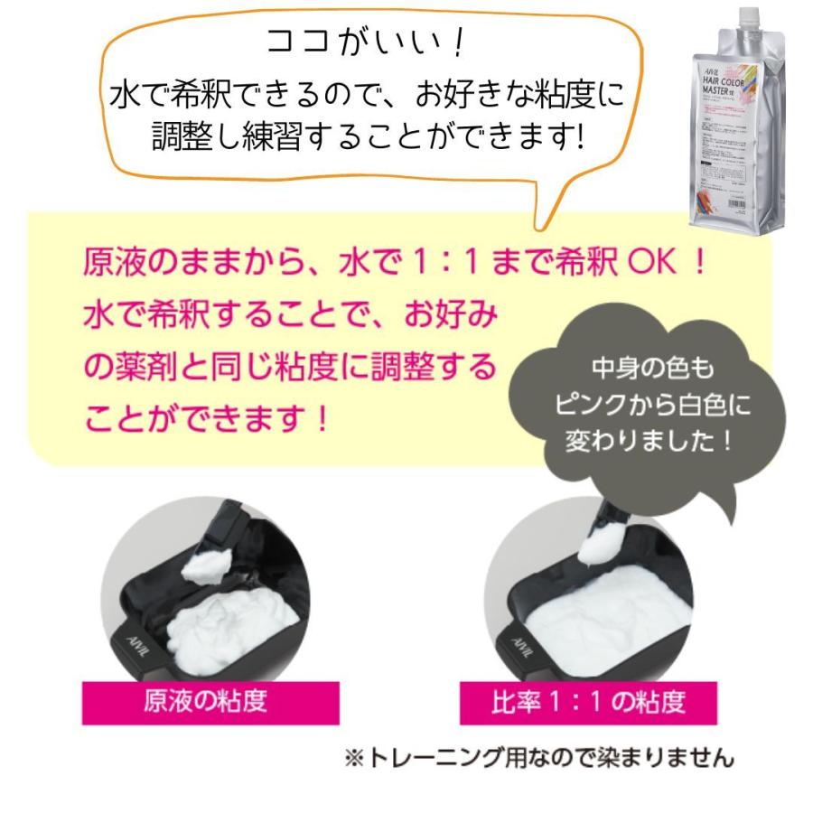 AIVIL（アイビル） ヘアカラーマスター SE 1000ml ヘアカラー剤塗布