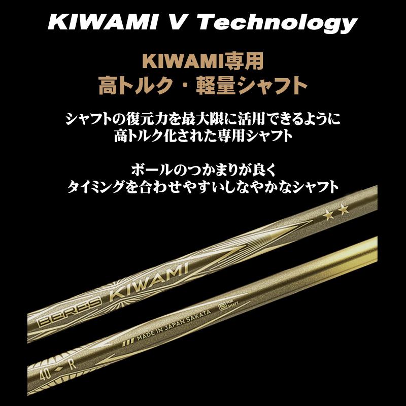 BERES 本間ゴルフ (ホンマ/HONMA) (ベレス) KIWAMI-5 アイアン8本組(#5
