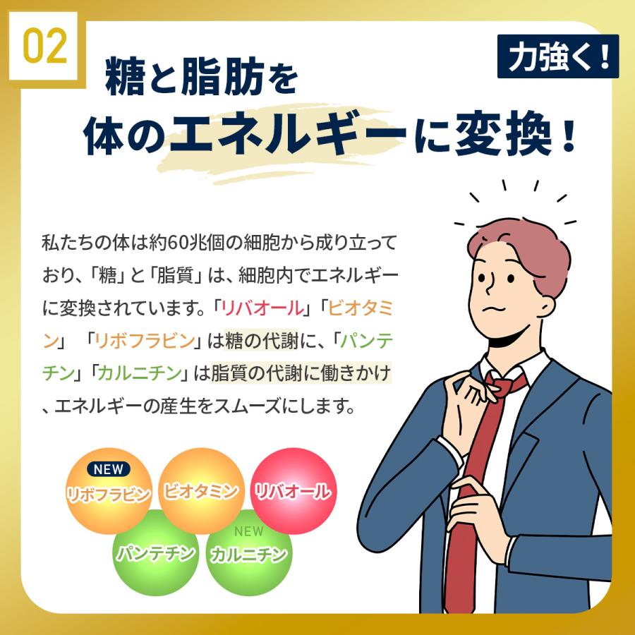 Regain 公式 疲労回復 サプリ リゲイン トリプルフォースEX 2袋 Regain 公式 疲労回復 サプリ リゲイン トリプルフォースEX 2袋
