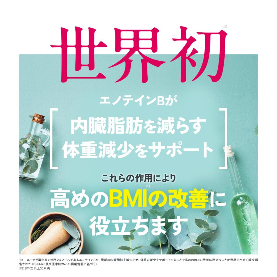 Regain ダイエットサポート サプリ リゲイン スリムマネージ Regain ダイエットサポート サプリ リゲイン スリムマネージ