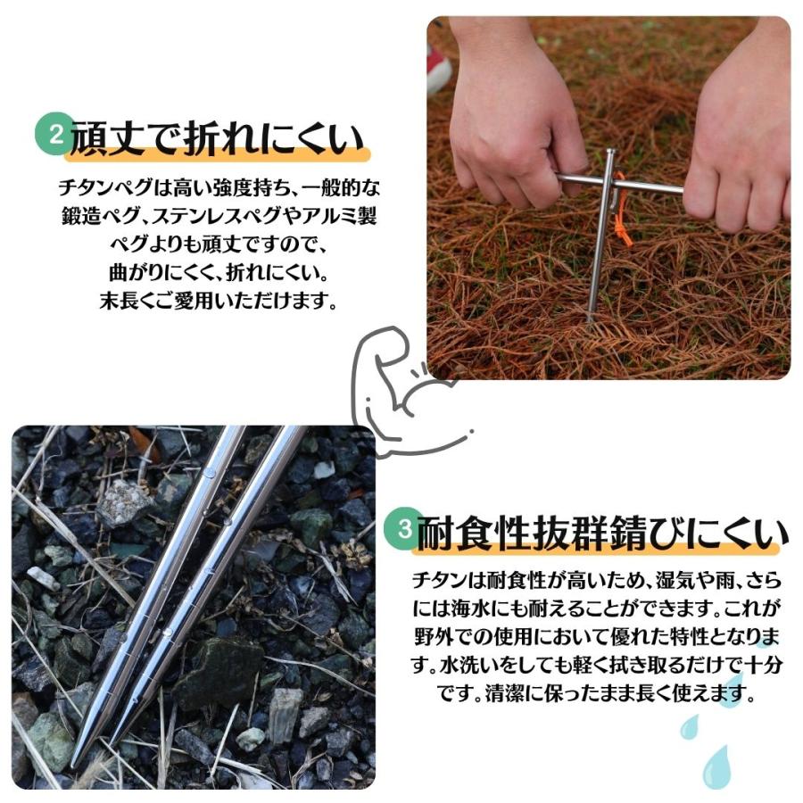 Soomloom チタンペグ 6-10本セット 20cm 25cm 30cm Soomloom テント