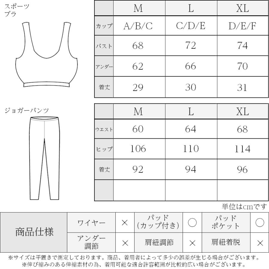 ウェア（レディース:Lサイズ） 17icjw_siz_siz.jpg