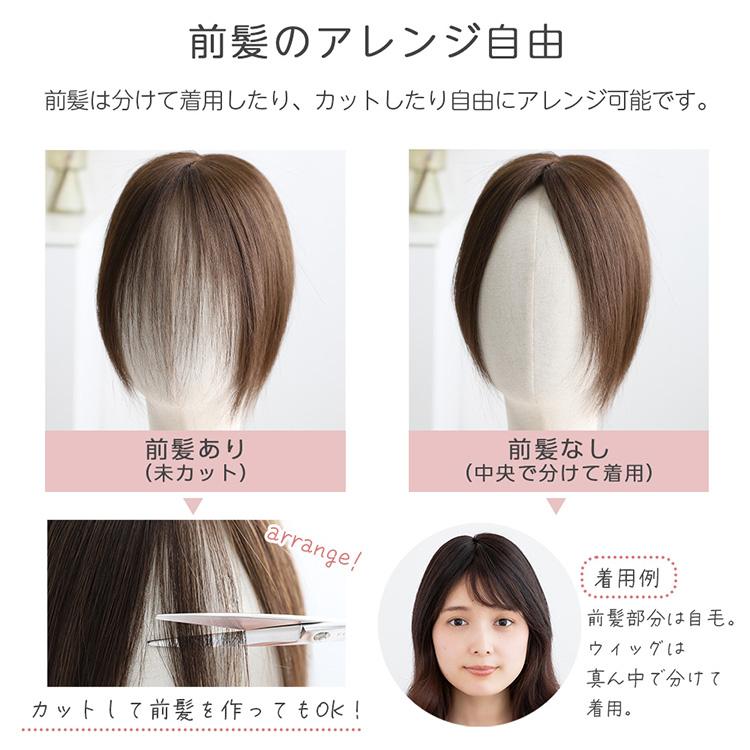 Brightlele トップカバー 25cm 部分手植え レミー 人毛100% 部分 Brightlele トップカバー 25cm 部分手植え レミー 人毛100% 部分