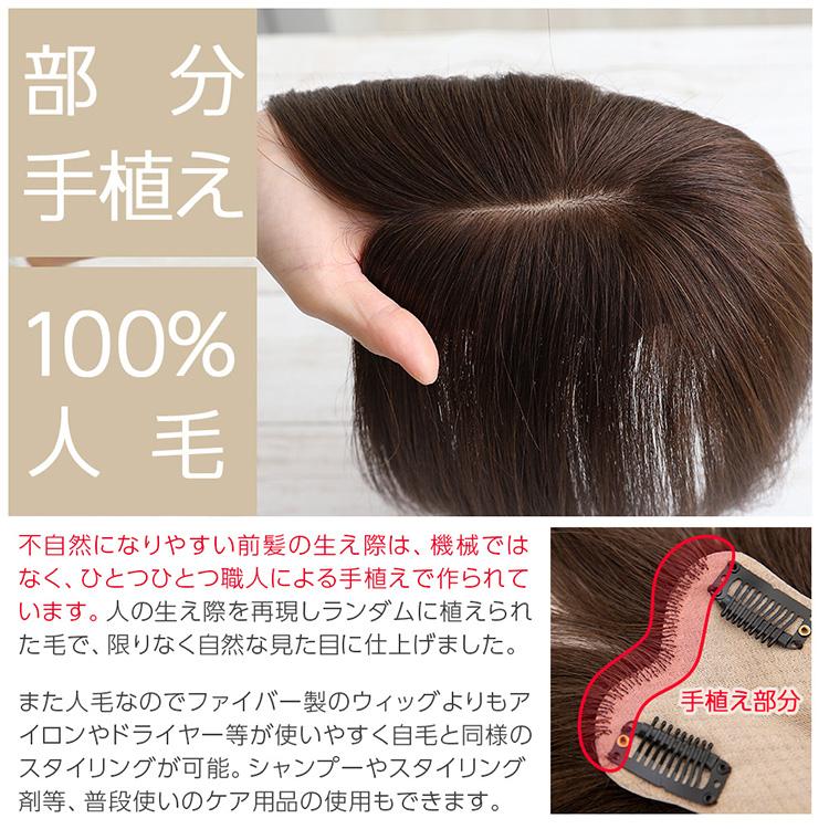 Brightlele トップカバー 25cm 部分手植え レミー 人毛100% 部分 Brightlele トップカバー 25cm 部分手植え レミー 人毛100% 部分