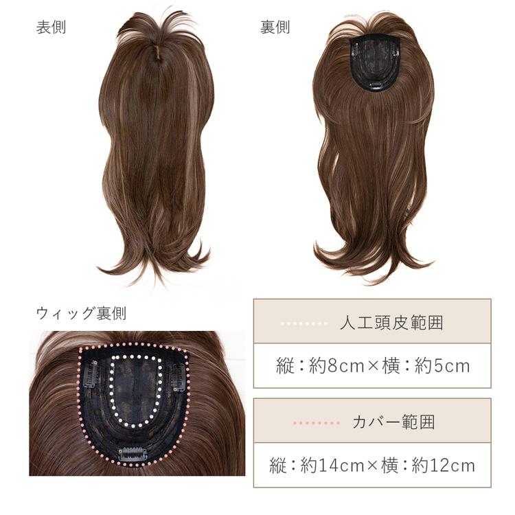 Brightlele（ブライトララ） 部分ウィッグ ヘアピース ロング 自然