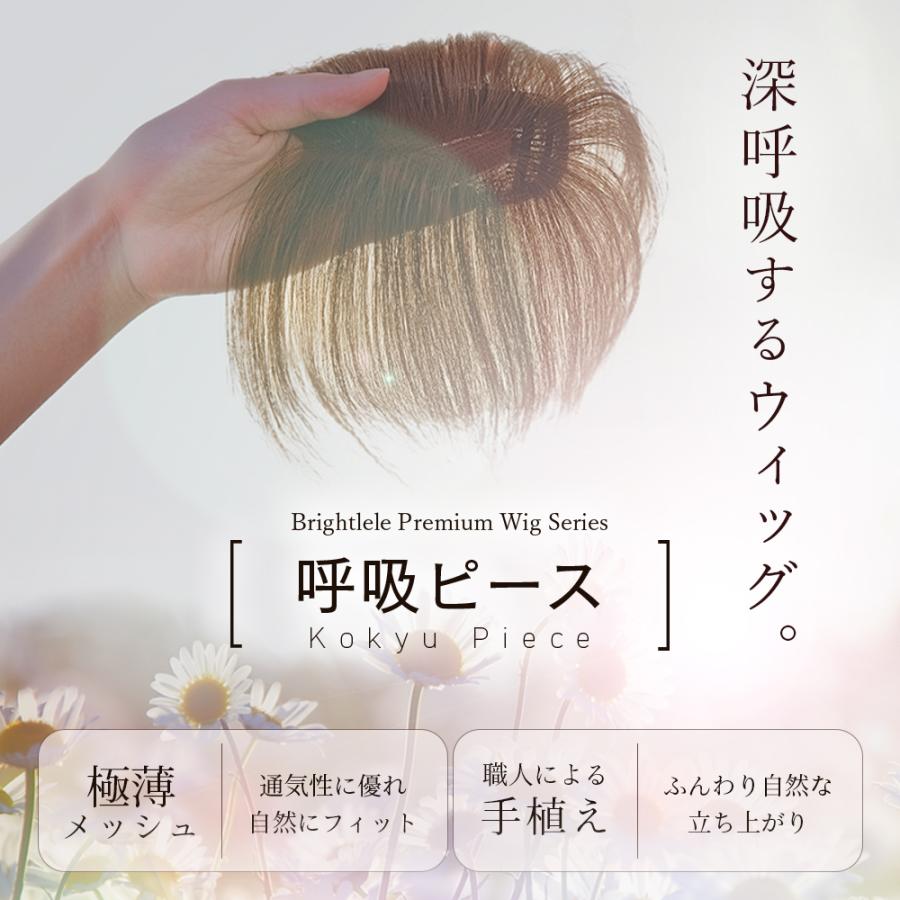 Brightlele（ブライトララ） 部分ウィッグ 人毛ミックス 自然 呼吸
