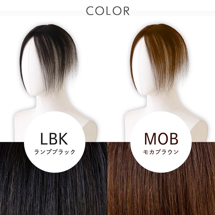 呼吸ウィッグ トップカバー ウィッグ つむじ ヘアピース 人毛100% 20cm 総手植え 部分ウィッグ 自然 人毛 人毛 100 人毛ウィッグ 白髪隠し 医療用 かつら つけ毛の画像