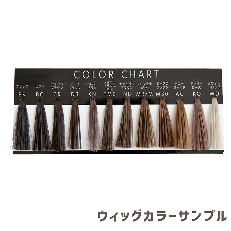 Brightlele ウィッグ カラーサンプル カラーチャート フルウィッグ用