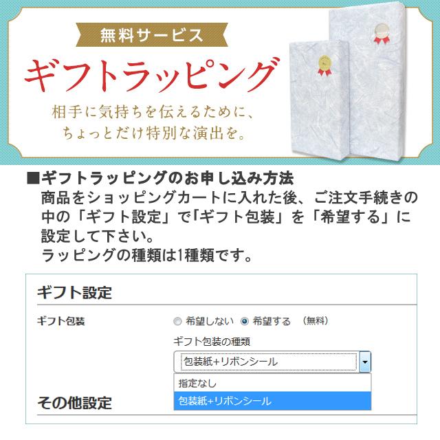 刻印無料 聴診器 リットマン クラシックIII 医療用 小児用 目印 