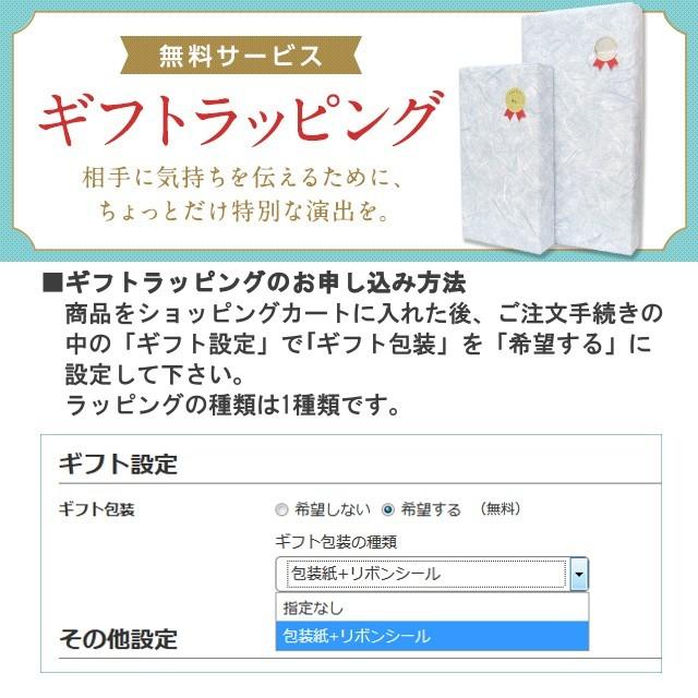 本革ネームタグ付き 聴診器 リットマン Littmann クラシック III スペシャルエディション 医療用 ダブル聴診器 Classic3