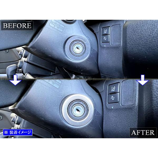 ブライツ BRIGHTZ プロボックスハイブリッド NHP160V ステンレスキー