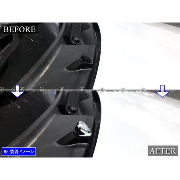 ブライツ BRIGHTZ スイフトスポーツ ZC33S メッキウォッシャーノズル