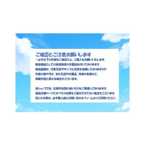 NITEIZE(ナイトアイズ) カムジャム ロープ付 2個入 テント設営 NCJ2-03-01 (日本正規品)｜brilliant-mooon｜09