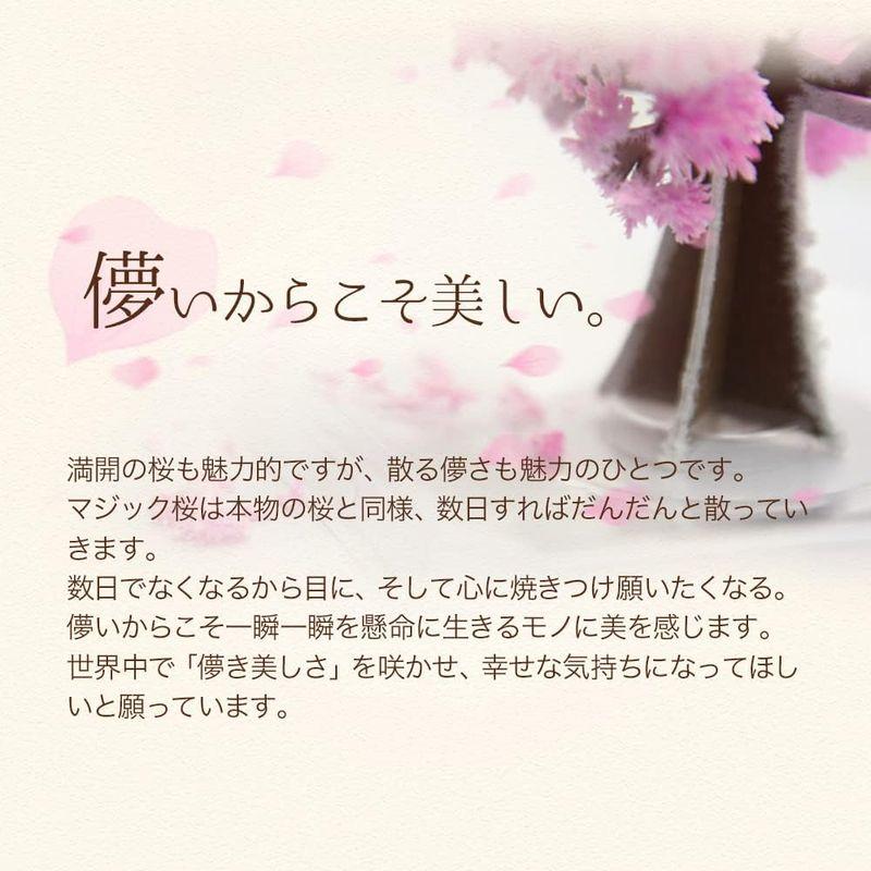 OTOGINO Magic桜 マジック桜 (ミニ) 2個セット ピンク 小｜brilliant-mooon｜02