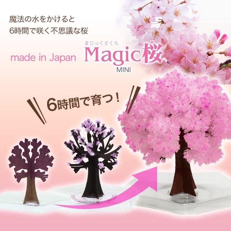 OTOGINO Magic桜 マジック桜 (ミニ) 2個セット ピンク 小｜brilliant-mooon｜05