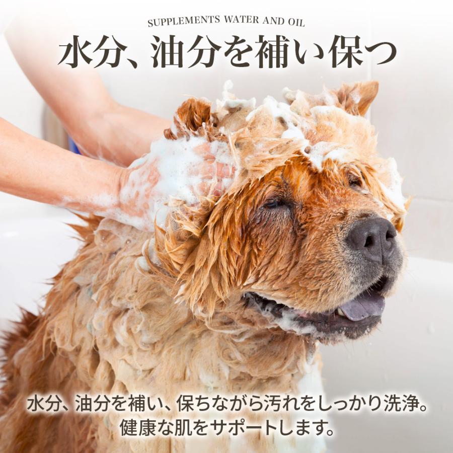 小動物用シャンプー 小動物シャンプー 小動物 シャンプー ペット