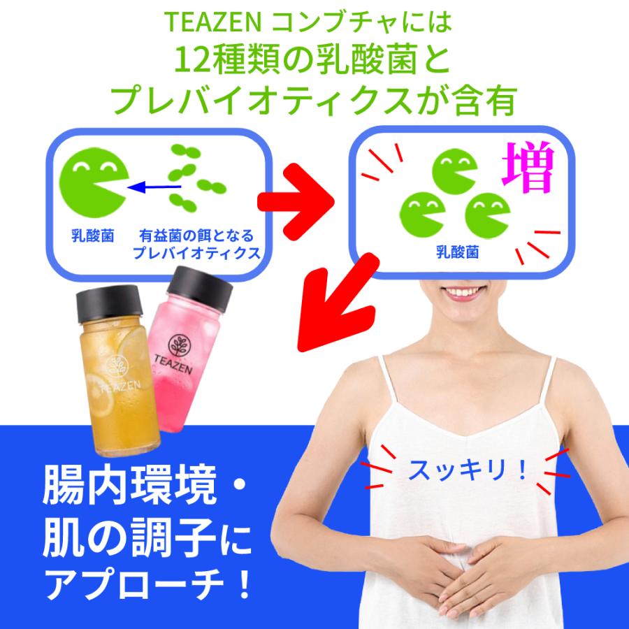 TEAZEN コンブチャ 酵素 粉末 韓国 ティーゼン 箱売り 12箱 120包