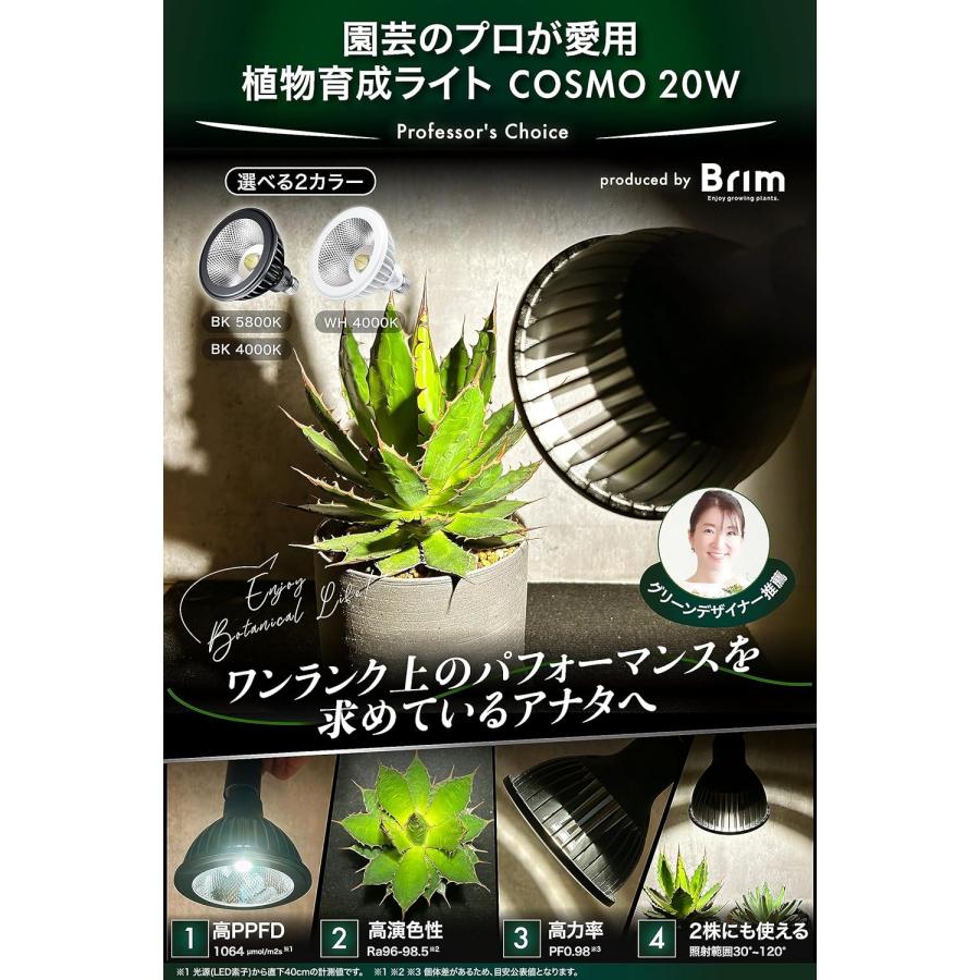 グリーンアドバイザー推薦】BRIM(ブリム) COSMO BK (22W) 暖色系 グリーンアドバイザー推薦】BRIM(ブリム) COSMO BK (22W) 暖色系