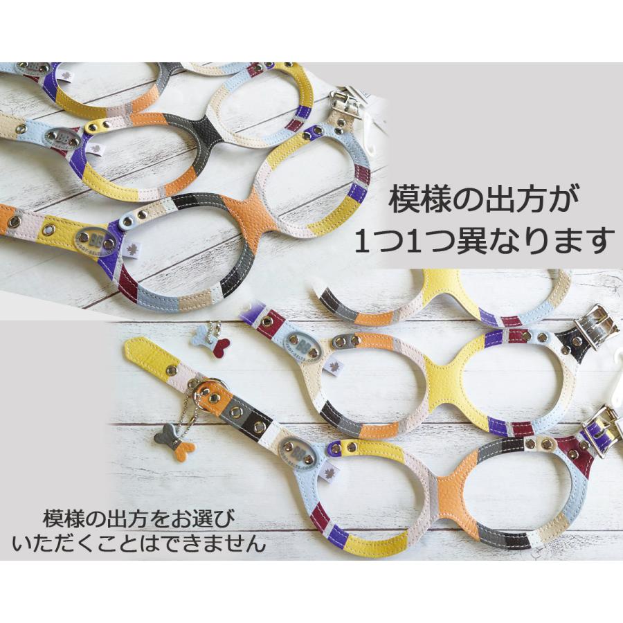 バディーベルト 4号 エリート/シグネチャー BUDDY BELTS バディベルト