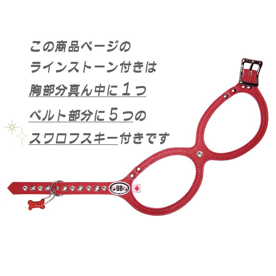 2.5号　ストーン（6個）付き　プレミアム　BUDDY BELTS（バディーベルト）　ハーネス　めがねハーネス　 BuddyBelt 正規直輸入販売店だから安心 brindle｜brindle-k｜07