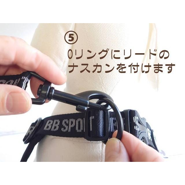 バディーベルト 6号 BB SPORT (BBスポーツ) Vibrant BUDDY BELTS