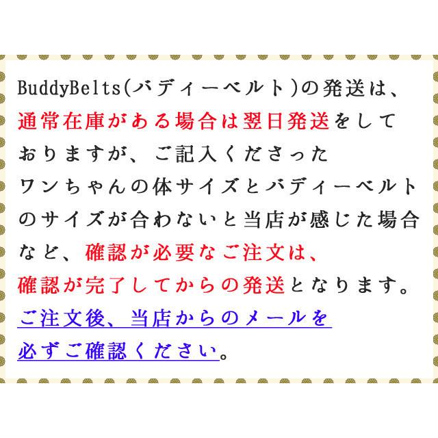 バディーベルト 6号 BB SPORT (BBスポーツ) Vibrant BUDDY BELTS バディベルト ハーネス BuddyBelt 正規直輸入販売店だから安心 brindleの画像