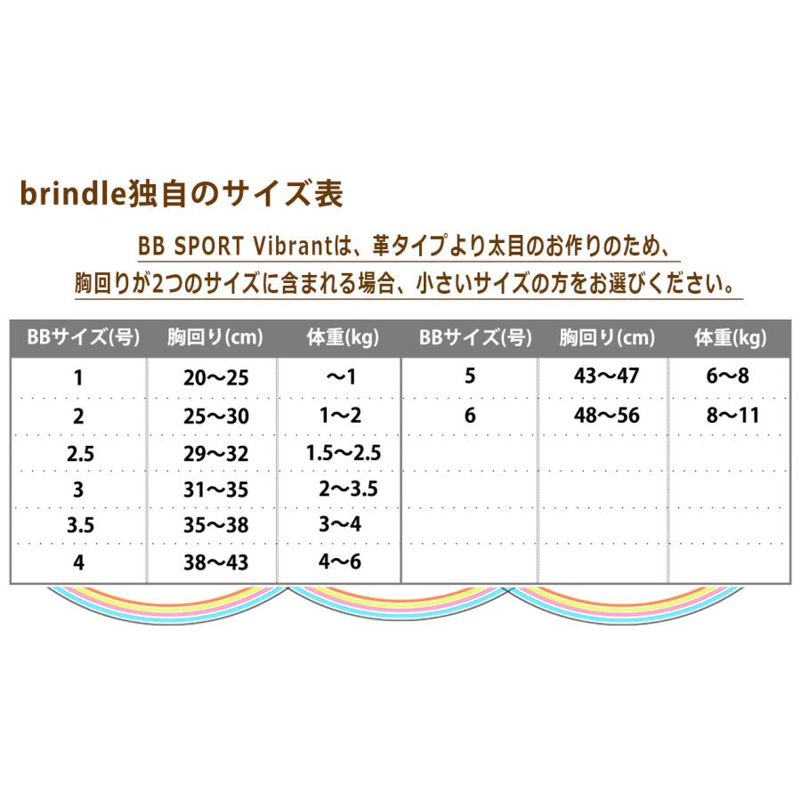 バディーベルト 6号 BB SPORT (BBスポーツ) Vibrant BUDDY BELTS