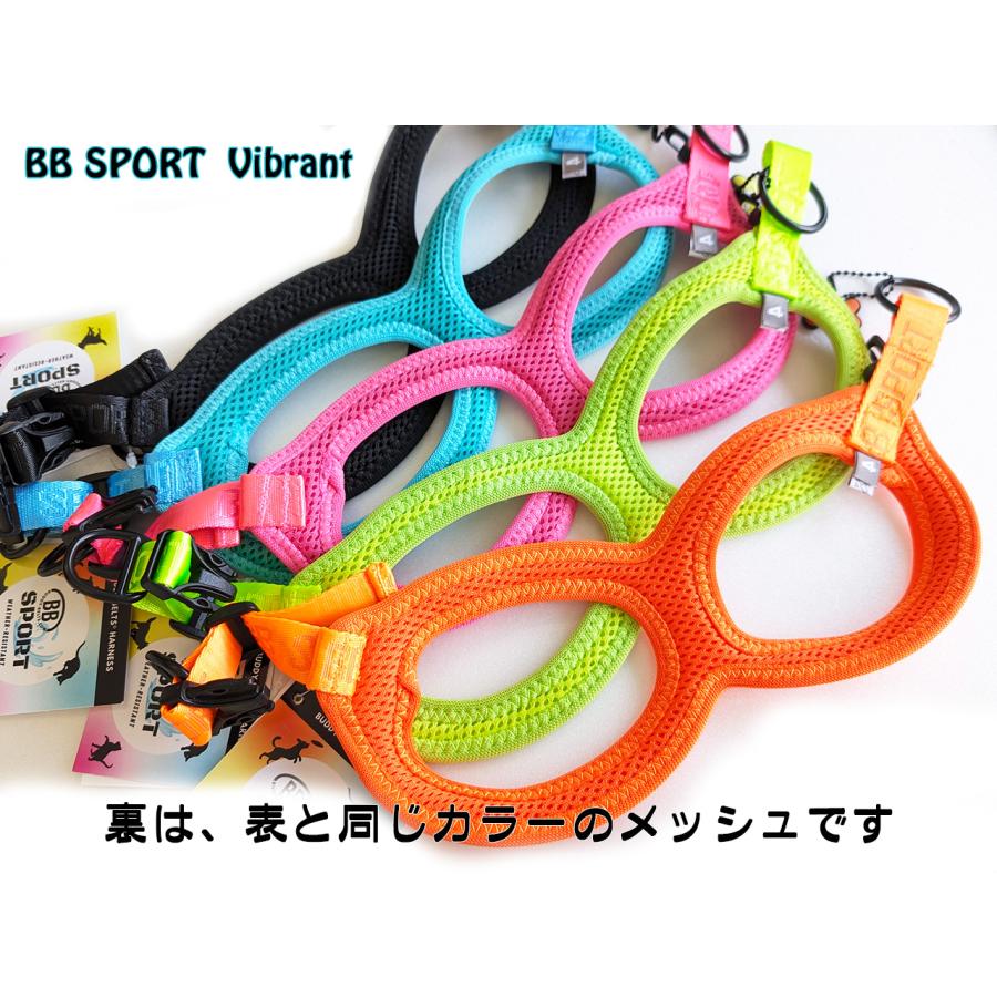 バディーベルト 6号 BB SPORT (BBスポーツ) Vibrant BUDDY BELTS