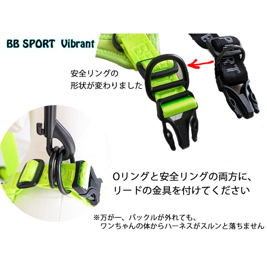 バディーベルト 6号 BB SPORT (BBスポーツ) Vibrant BUDDY BELTS バディベルト ハーネス BuddyBelt 正規直輸入販売店だから安心 brindleの画像
